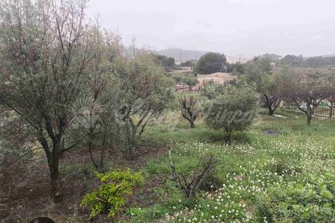 Landejendom i Monovar, Alicante, Monovar - € 88.000 | Ref: SF0564 - foto 18